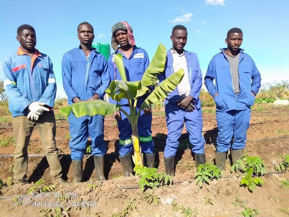 Diploma in General Agriculture